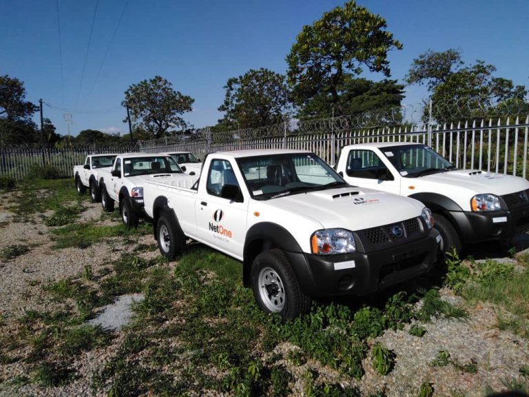 Vehicle branding - Netone 3